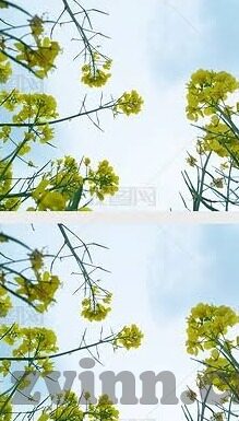 麻豆果冻传媒精品-麻豆果冻传媒精品，探索数字时代下的文化新视角