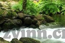 在线看麻豆av-借此之机，让我们将视点转向那些更为建构性及正向的方面